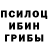 Псилоцибиновые грибы прущие грибы Sooofix