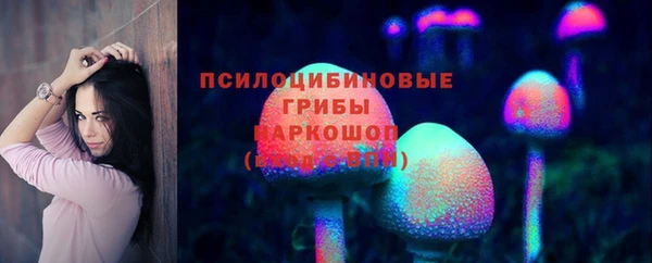 СК Алзамай