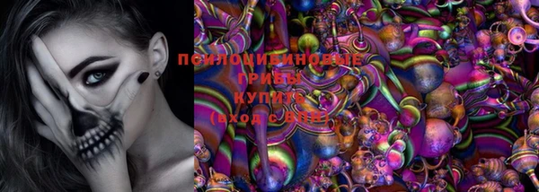прущий лед Алексин